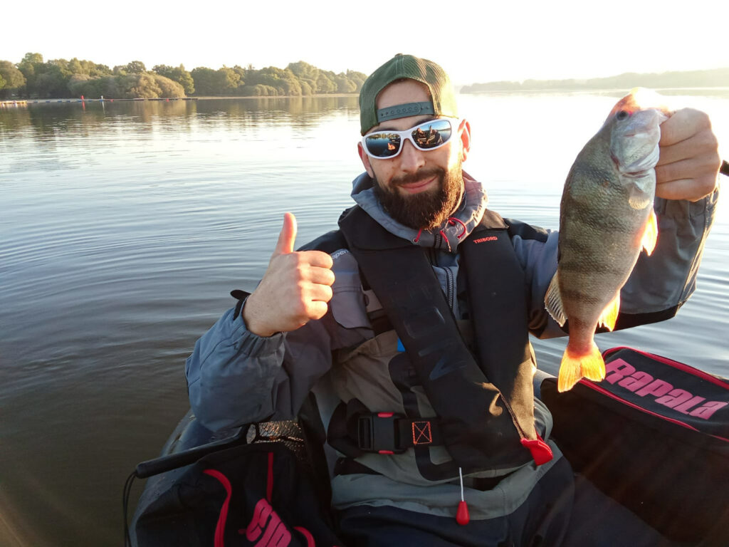 Une jolie perche prise au spinnerbait.